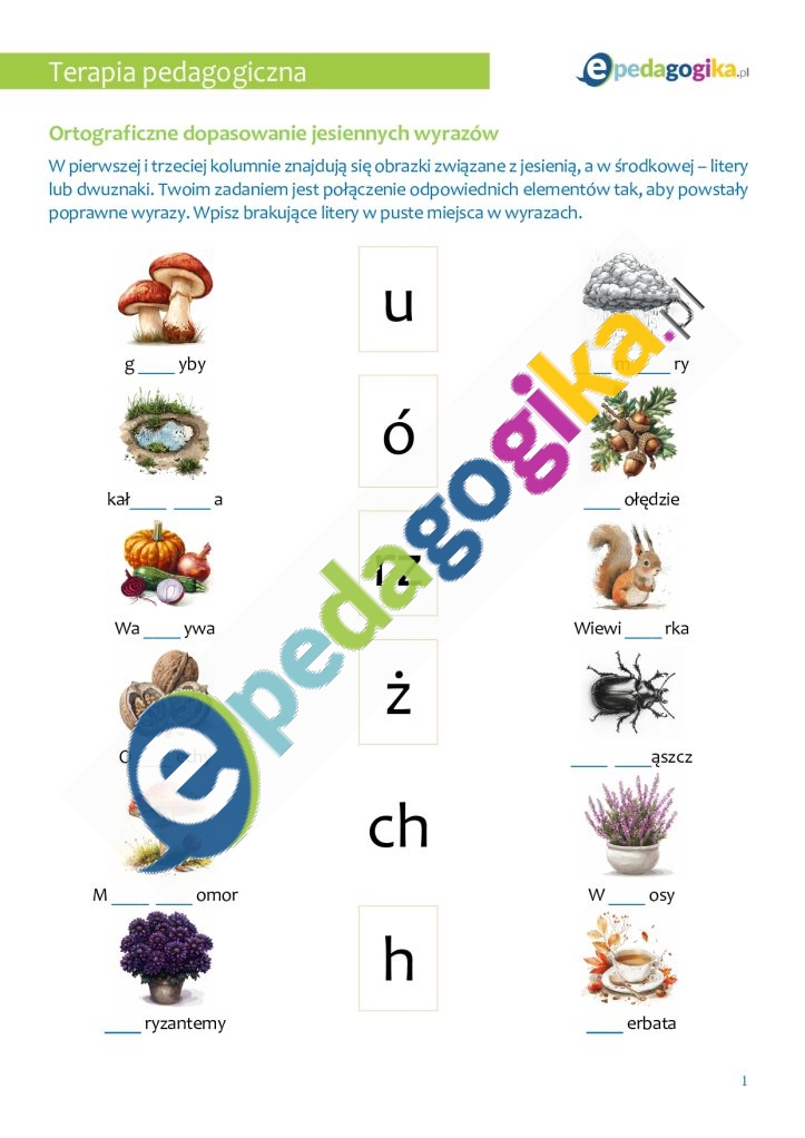   Jesienne wyzwania ortograficzne – trening pisowni wyrazów z: h, ch, u, ó, rz, ż