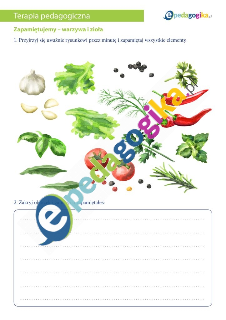 Zapamiętujemy – warzywa i zioła-1