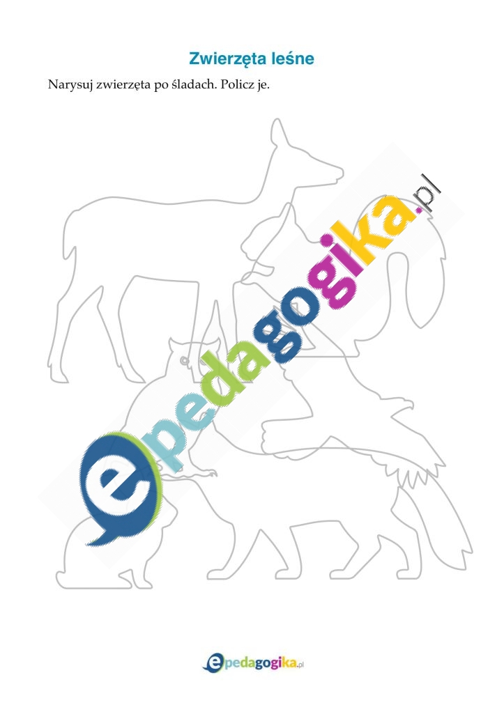 Zwierzęta leśne-1