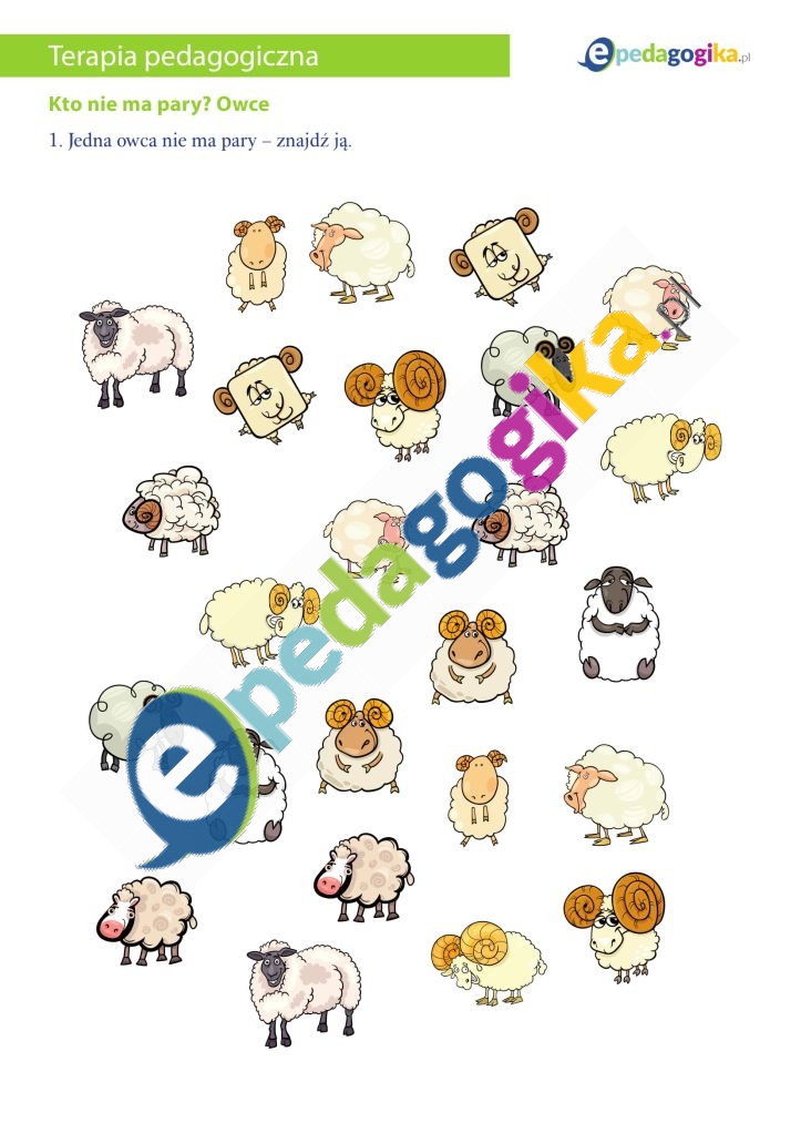 Kto nie ma pary Owce-1