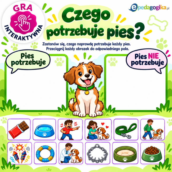 Czego potrzebuje pies? | Zadanie interaktywne