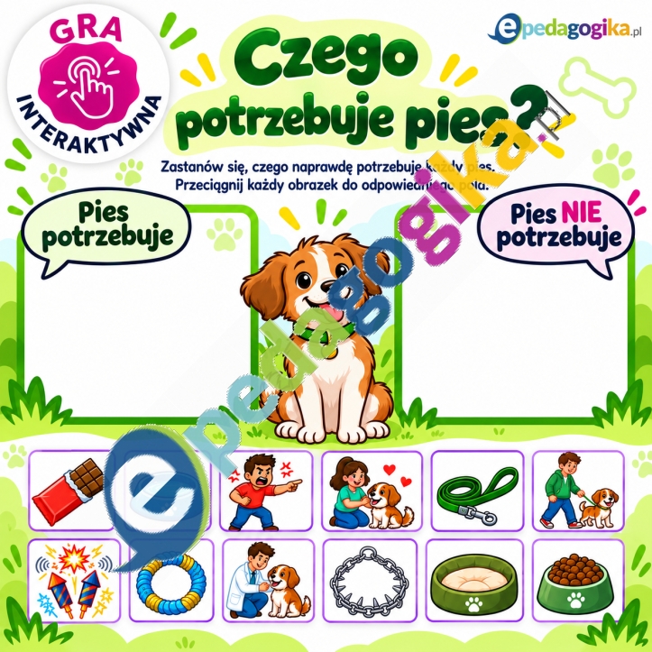 Interaktywna gra_ potrzeby psa