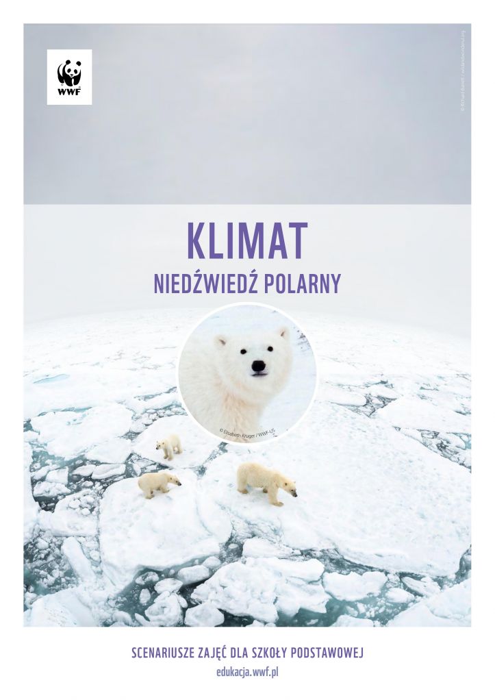 Klimat. Niedźwiedź polarny – scenariusze zajęć dla szkoły podstawowej