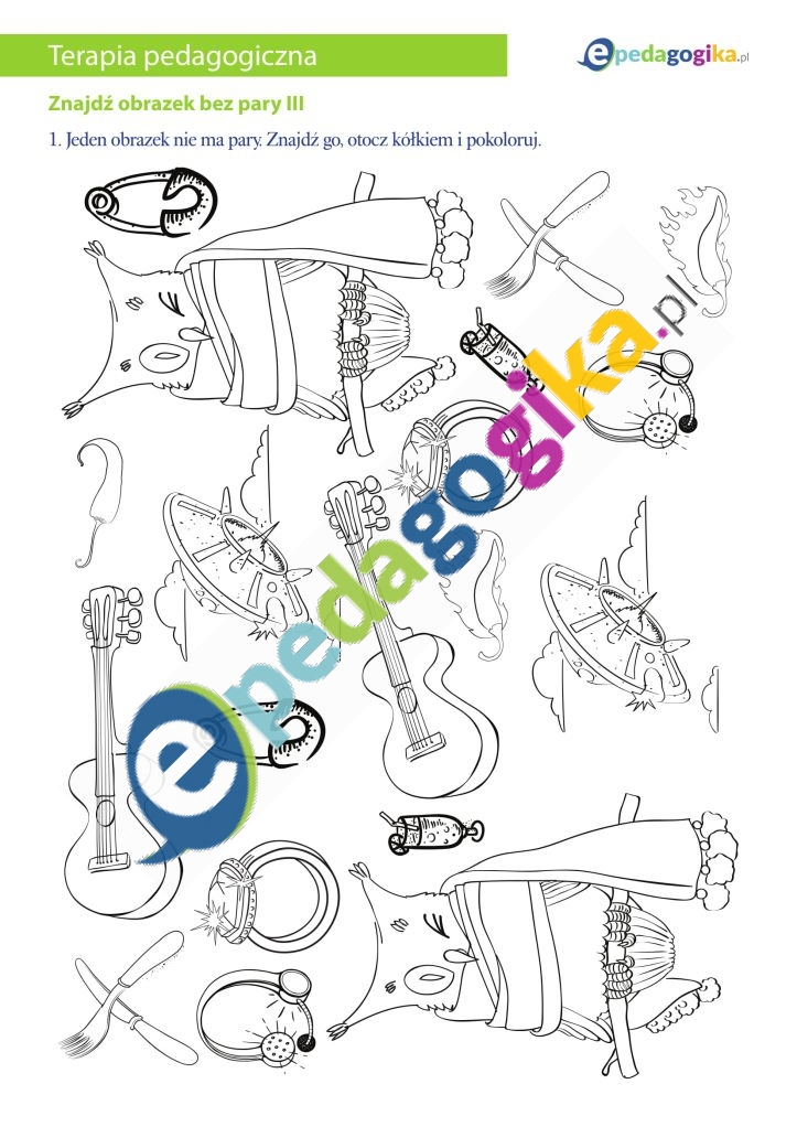 Znajdź obrazek bez pary III-1