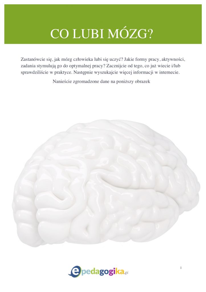 Neurodydaktyka – nauczanie przyjazne dla mózgu