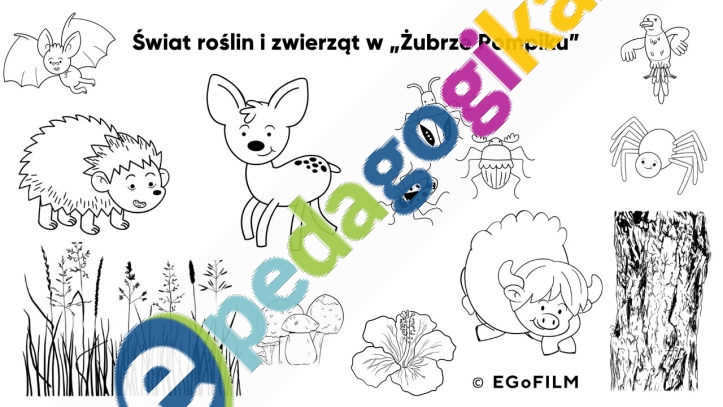 Świat roślin i zwierząt w Żubrze Pompiku