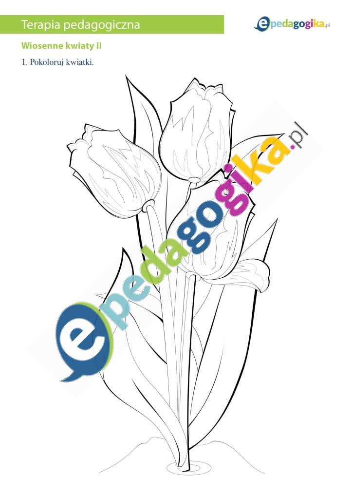 Wiosenne kwiaty II-1