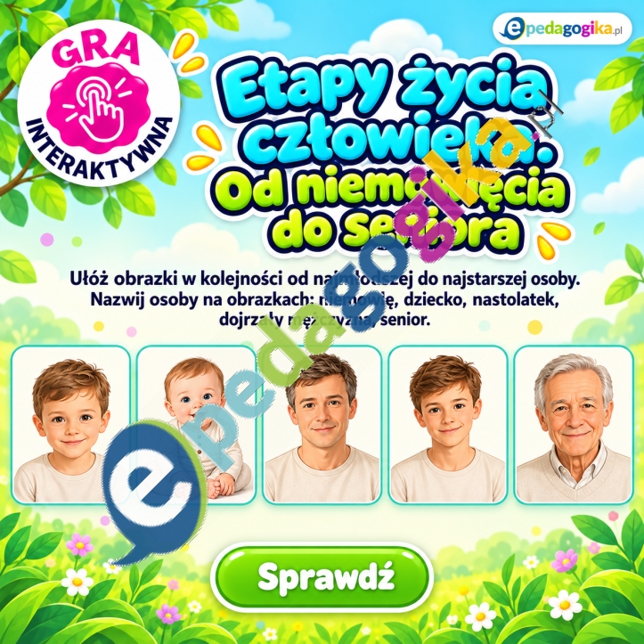 Etapy życia człowieka – gra edukacyjna