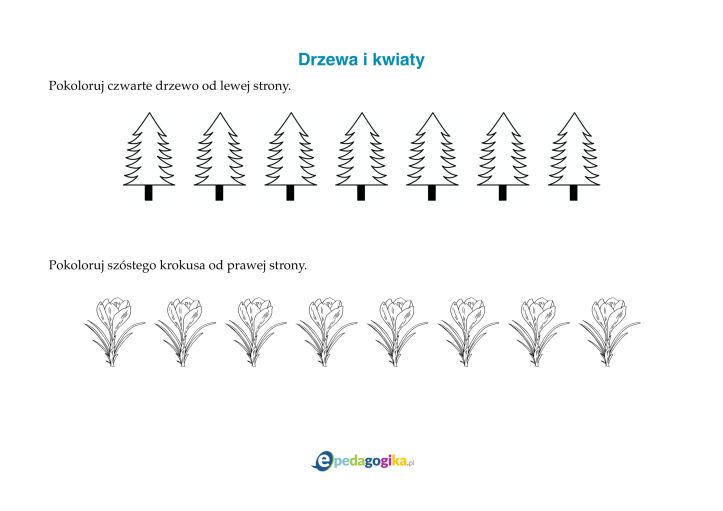 Drzewa i kwiaty