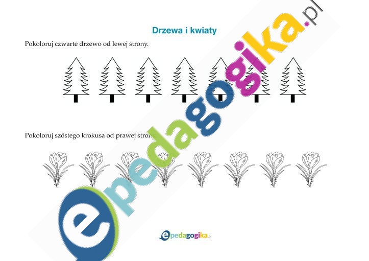 Drzewa i kwiaty-1