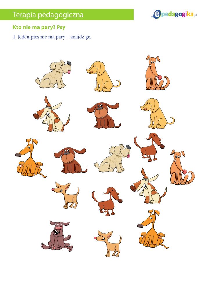 Kto nie ma pary? Psy