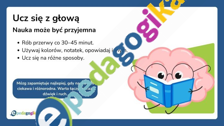   Prezentacja multimedialna: Poznaj swój mózg i naucz się o niego dbać!