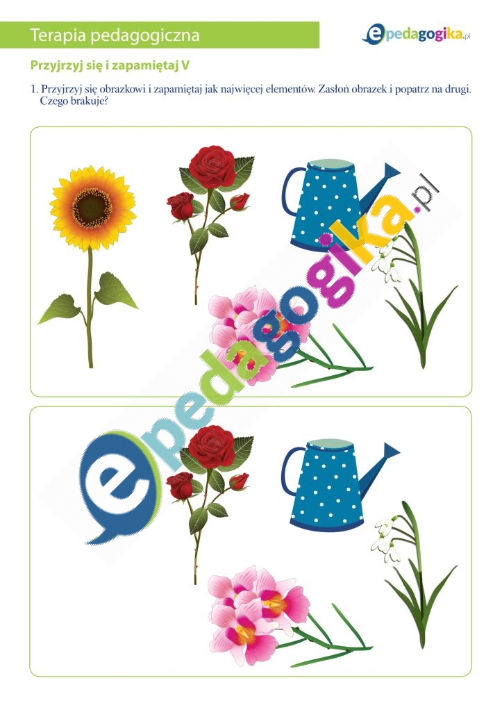 Przyjrzyj się i zapamiętaj V-1