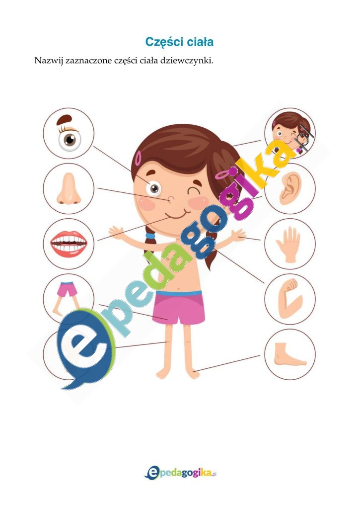Części ciała  