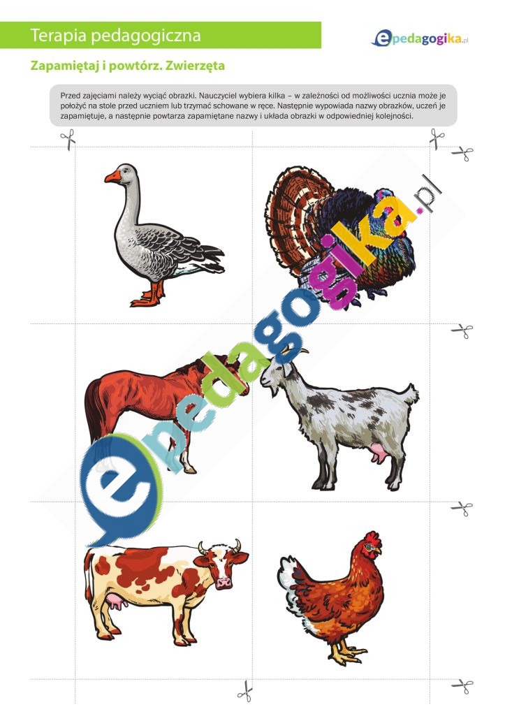 Zapamiętaj i powtórz. Zwierzęta-1
