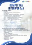   Kumpelska interwencja.  Scenariusz zajęć psychoedukacyjnych dla uczniów klas VIII i szkół ponadpodstawowych