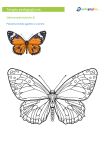 Kolorowe motyle. Ćwiczenie percepcji wzrokowej, przerysowywanie kształtów