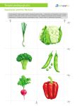 Zapamiętaj i powtórz. Warzywa-1
