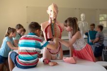   Edukacja zdrowotna w edukacji domowej – czy trzeba zapewnić możliwość udziału w zajęciach