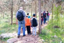  Shinrin-yoku. Czym są kąpiele leśne i jak wykorzystać terapię lasem w edukacji?
