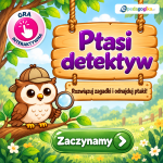 Kolorowa gra edukacyjna z sowie detektywem