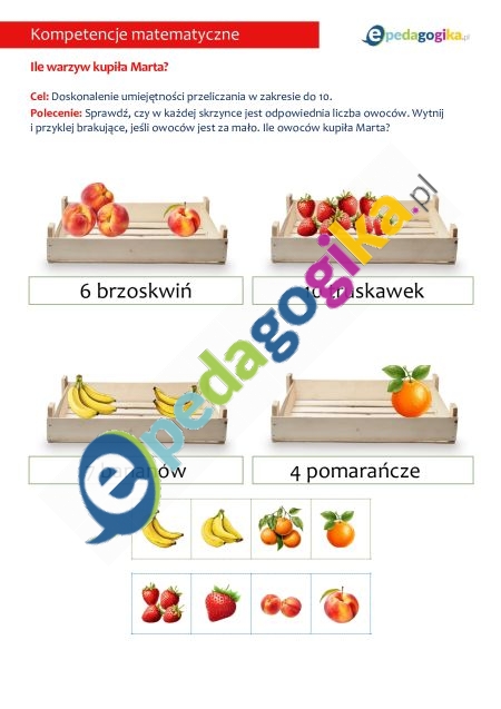 Owoce i warzywa. Karty pracy rozwijające kompetencje matematyczne