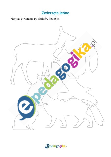 Zwierzęta leśne-1