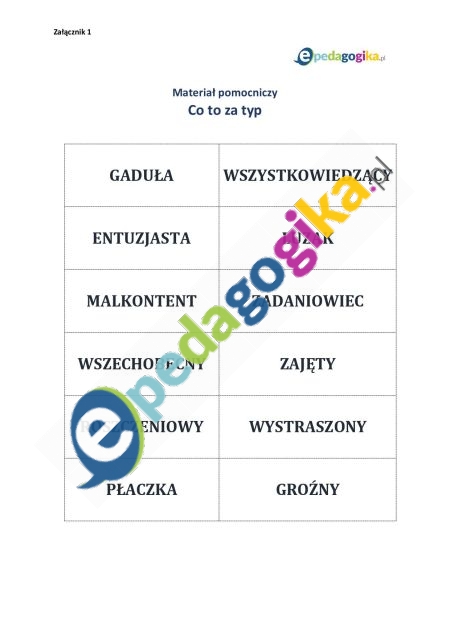Załącznik 1_materiał pomocniczy_Co to za typ