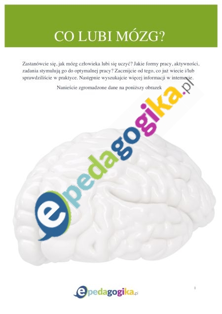 Karta pracy Co lubi mózg