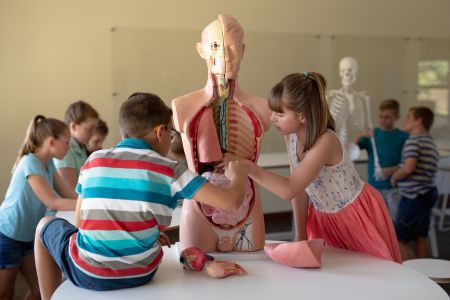   Edukacja zdrowotna w edukacji domowej – czy trzeba zapewnić możliwość udziału w zajęciach